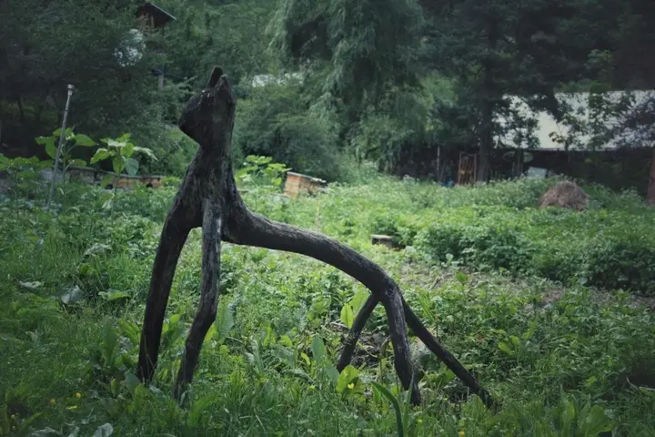 Корша: Korsha Guesthouse