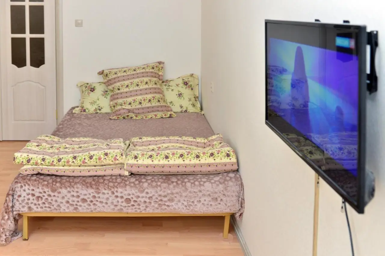 Воронеж: Apartament on Kholzunova 72A