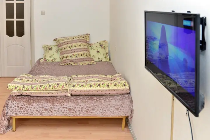 Воронеж: Apartament on Kholzunova 72A