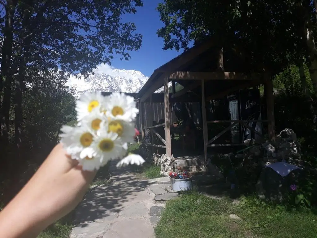 Ушгули: Maxvshi