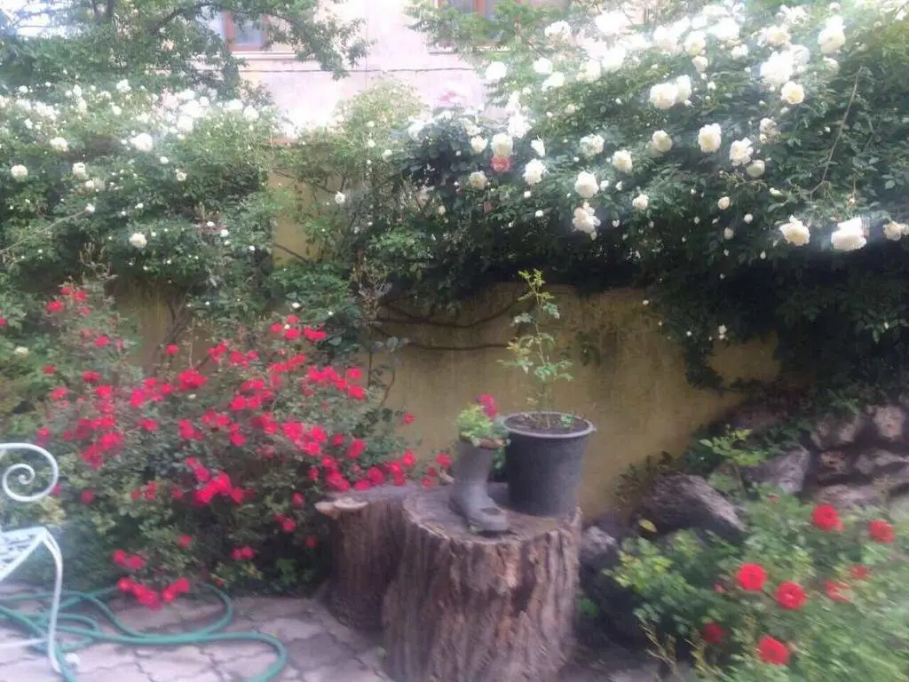 Тбилиси: Marina's Guest House