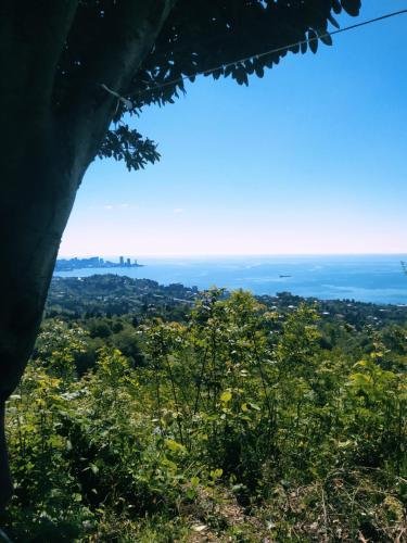 Батуми: magicstay - holiday home 3 bedrooms 2 bathrooms - batumi