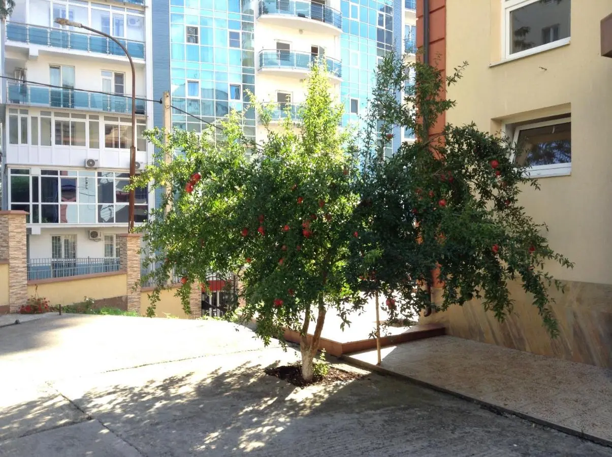 Сочи: Areda Guest House