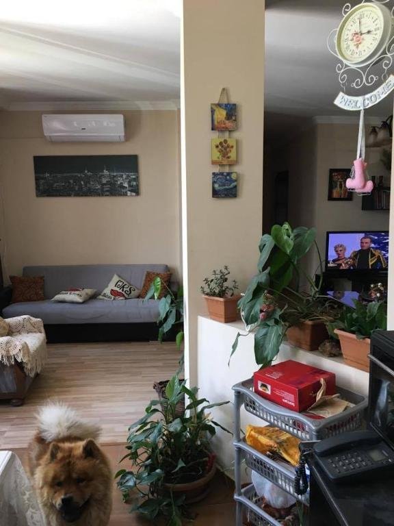 Тбилиси: 14 Tsavkisi Street
