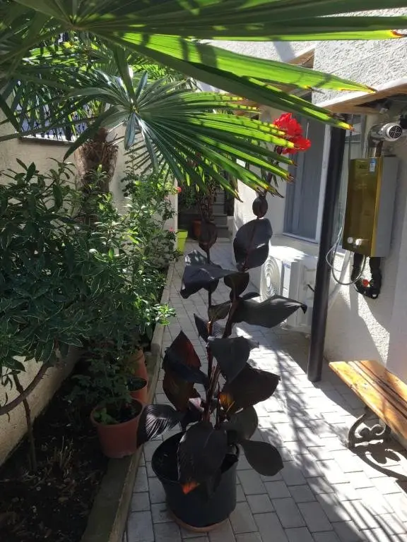 Тбилиси: 10 shindisi street Tbilisi