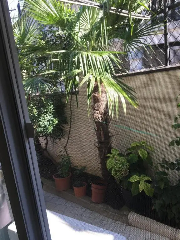 Тбилиси: 10 b shindisi street Tbilisi