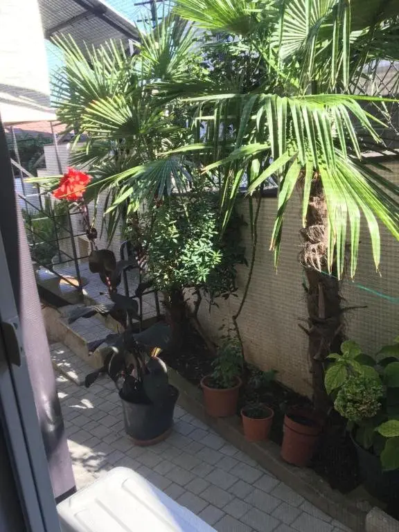 Тбилиси: 10 b shindisi street Tbilisi