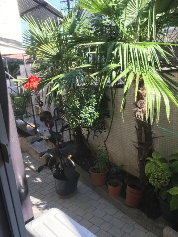 Тбилиси: 10 b shindisi street Tbilisi