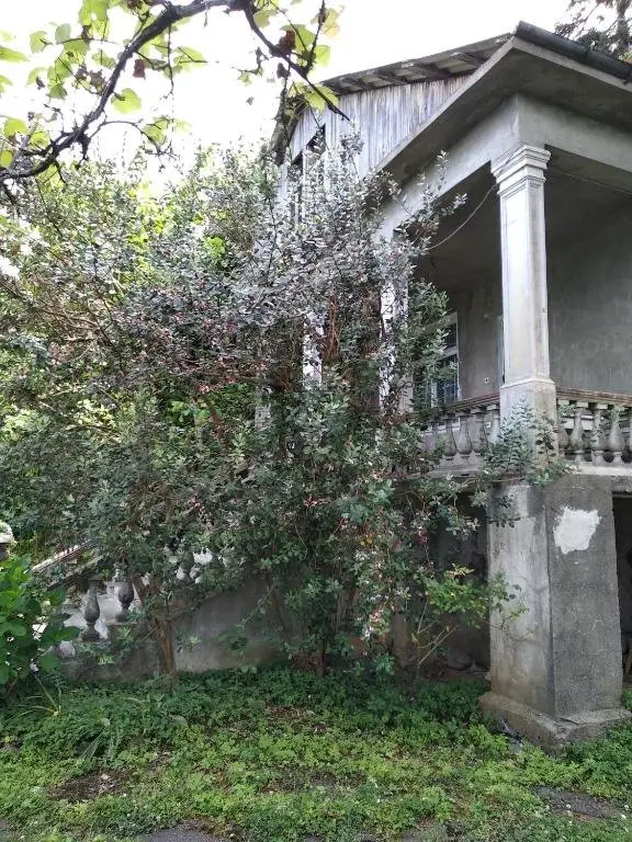 Батуми: House On Magnolii 1