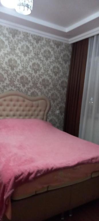 Батуми: Apartament Pushkin Street 13