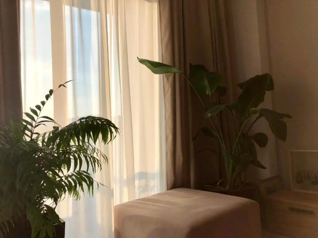 Тбилиси: M2 Apartment On Hipodroom 2 With Balcony Garden
