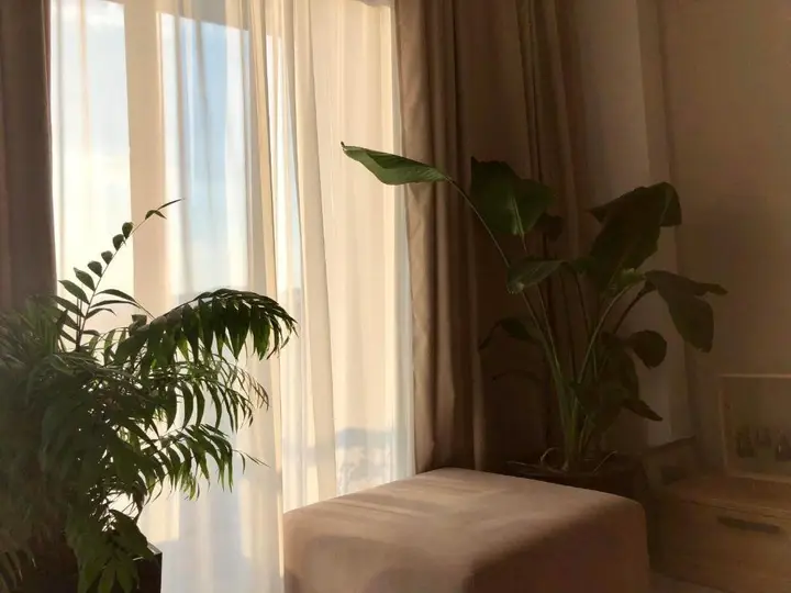 Тбилиси: M2 Apartment On Hipodroom 2 With Balcony Garden
