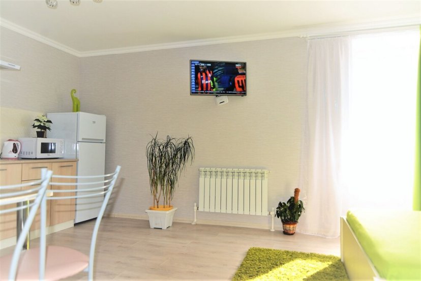 Воронеж: Megapolis Apartments On Bolshaya Manezhnaya Street 13V