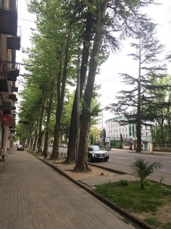 Кутаиси: Apartment Kutaisi BeBe