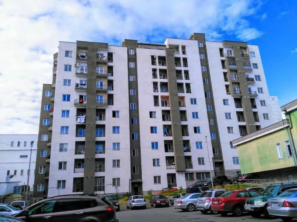 Тбилиси: Appartment in Saburtalo