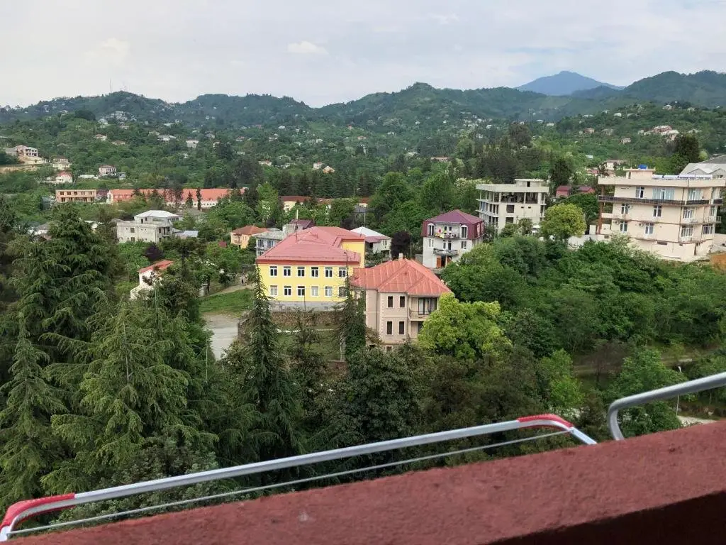 Батуми: Apartment on Tsaritsy Tamar 22?