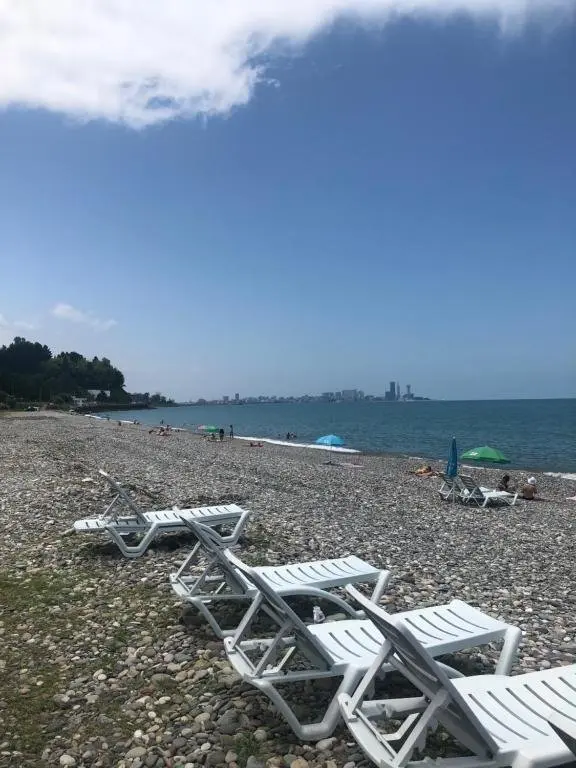 Батуми: Apartment on Tsaritsy Tamar 22?
