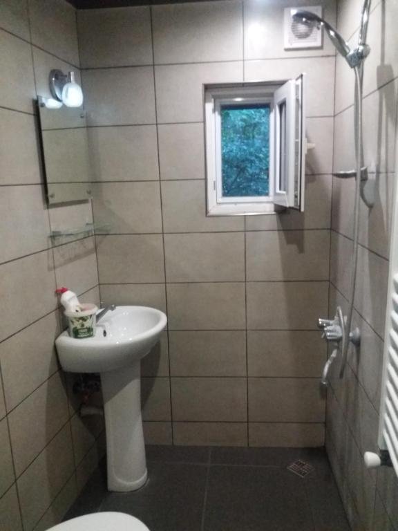 Тбилиси: alex guest house