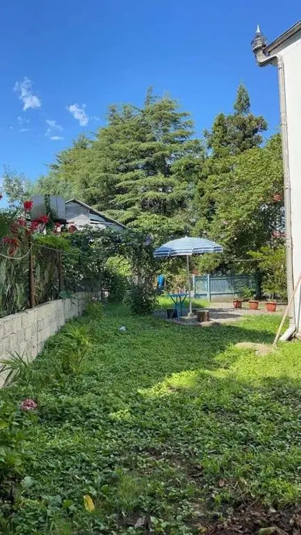 Уреки: Beach Walk Hostel