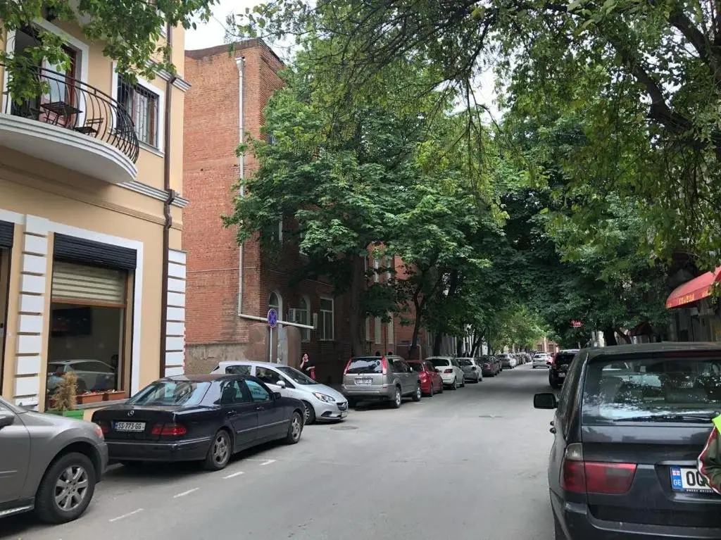 Тбилиси: Apartmemnt on Aghmashenebeli 142