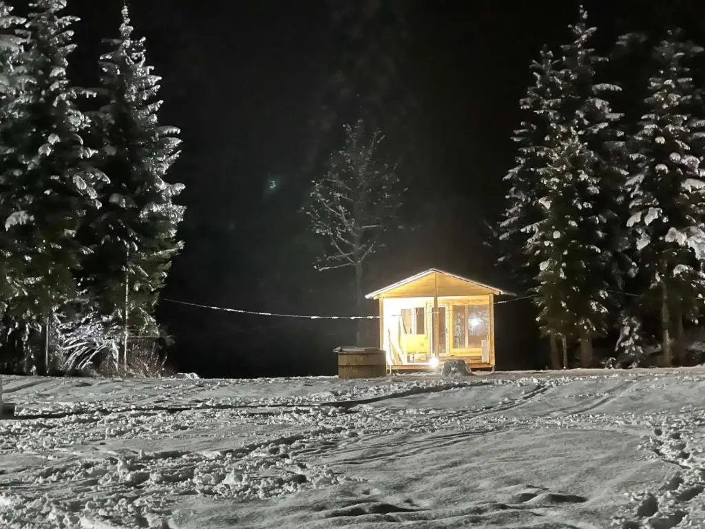 Местиа: Bude Mestia cottages