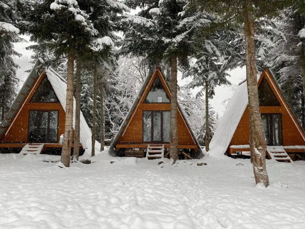 Местиа: Bude Mestia cottages