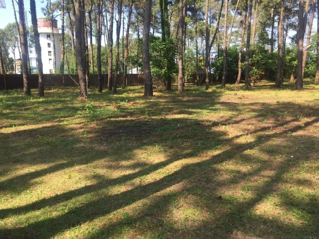 Уреки: Camping Area Ureki