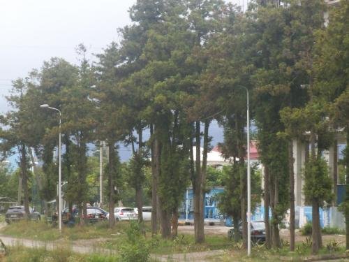 Батуми: Nikoloz Mosidze's Guest House