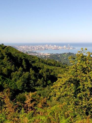 Батуми: Sakhalvasho teas guest hous