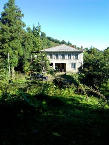 Батуми: Sakhalvasho teas guest hous