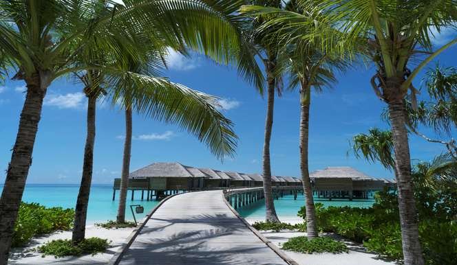Атолл Баа: Vakkaru Maldives