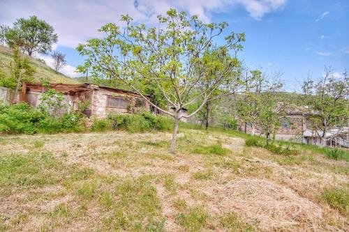 Телави: Saperavi House in Kakheti Region