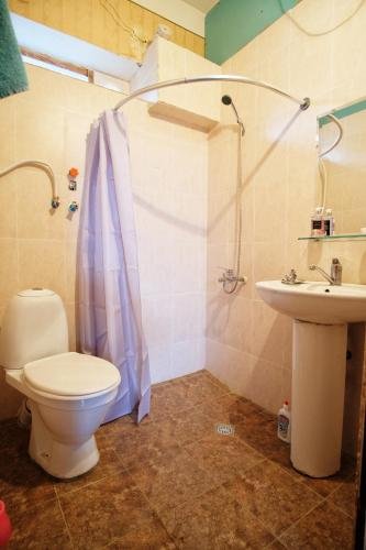 Телави: Saperavi House in Kakheti Region