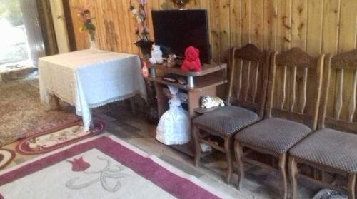 Батуми: hostel nazi AND gurami