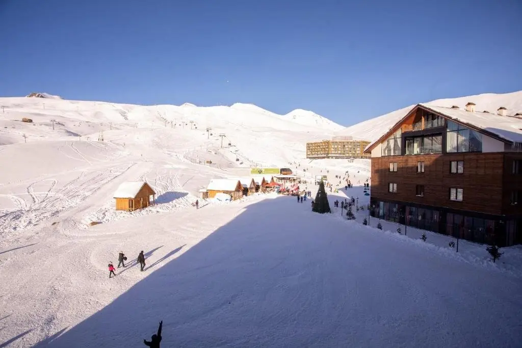 Гудаури: Stylish Ski In Out Apartment In 50 Metres From Gondola For 4