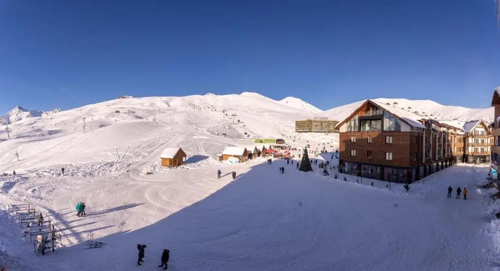 Гудаури: Stylish Ski In Out Apartment In 50 Metres From Gondola For 4