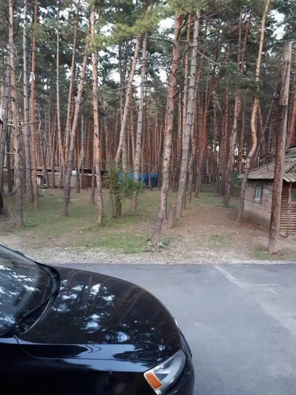 Тбилиси: Tskneti Soxumis Chixi N2