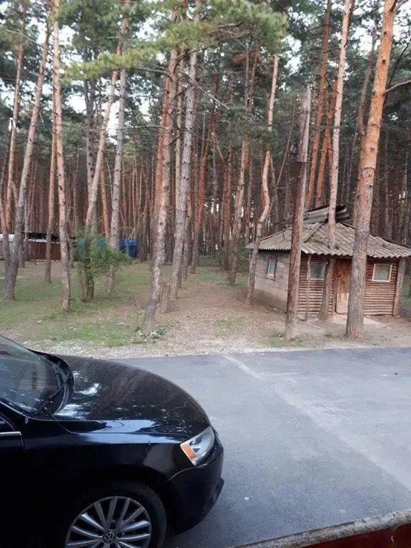 Тбилиси: Tskneti Soxumis Chixi N2