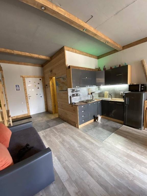 Гудаури: Studio 205 Gudauri