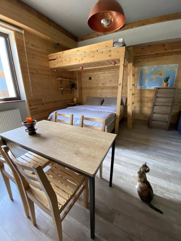Гудаури: Studio 205 Gudauri