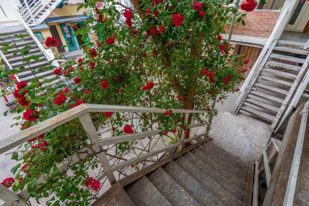 Тбилиси: Rustaveli 36 Apartment