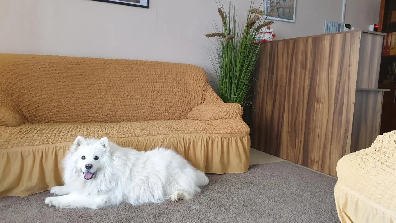Пересыпь: Veles Klub Guest House