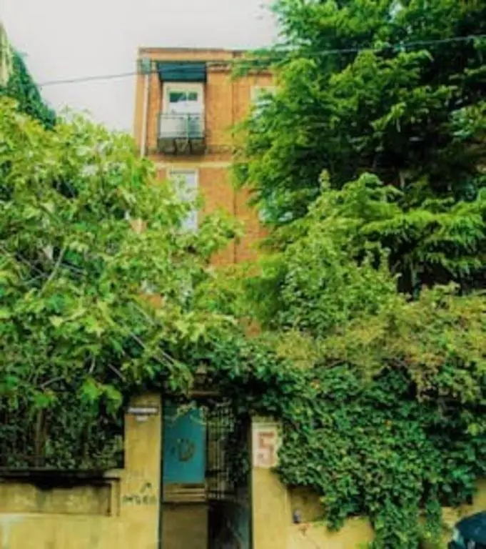 Тбилиси: Homestay N1
