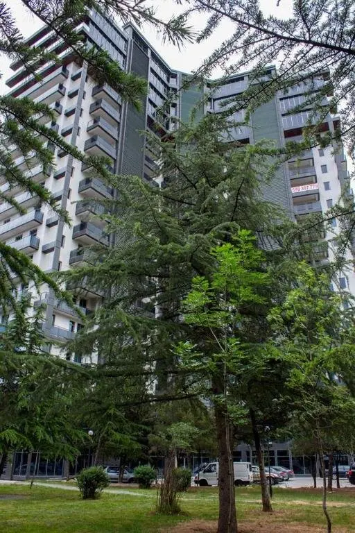 Тбилиси: Sophia's Apartment 3