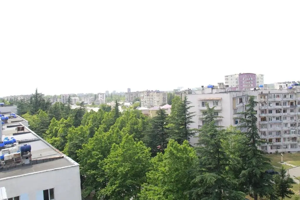 Кутаиси: Virshel'S 3 Bedrooms Apartment, 8 Peson, Wi-Fi