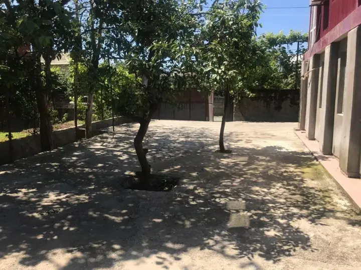 Батуми: Hotel Bader, 3 Floor 5 Min Away From The Sea, New Boulevard