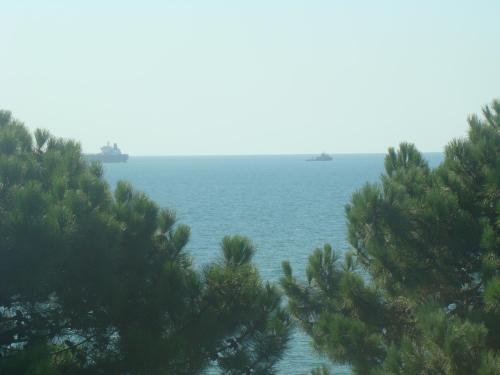 Уреки: Resort 4 Stars Ureki