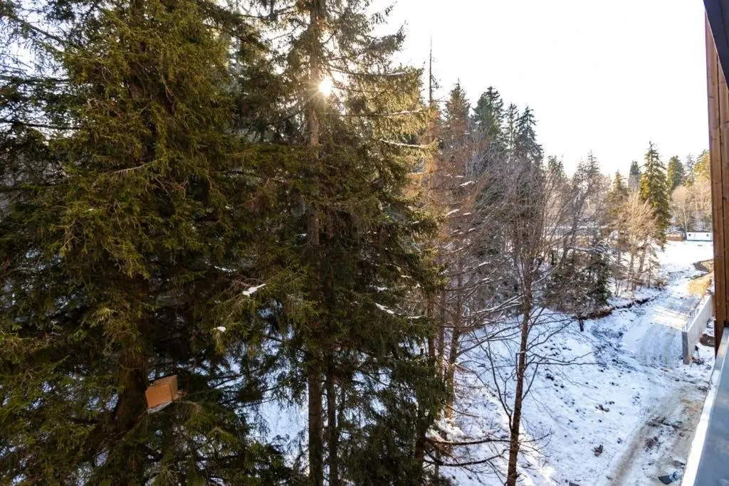 Бакуриани: Stylish Ski In Ski Out 1Br Hotel Apt. Near Rooms Hotel In The Hills Of Bakuriani
