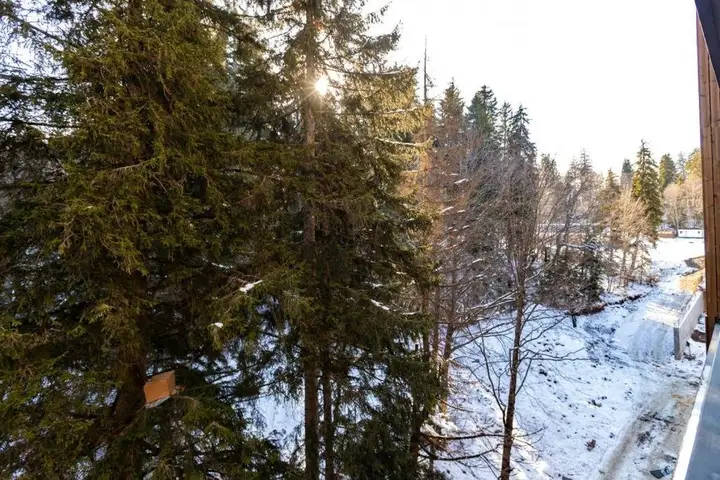 Бакуриани: Stylish Ski In Ski Out 1Br Hotel Apt. Near Rooms Hotel In The Hills Of Bakuriani