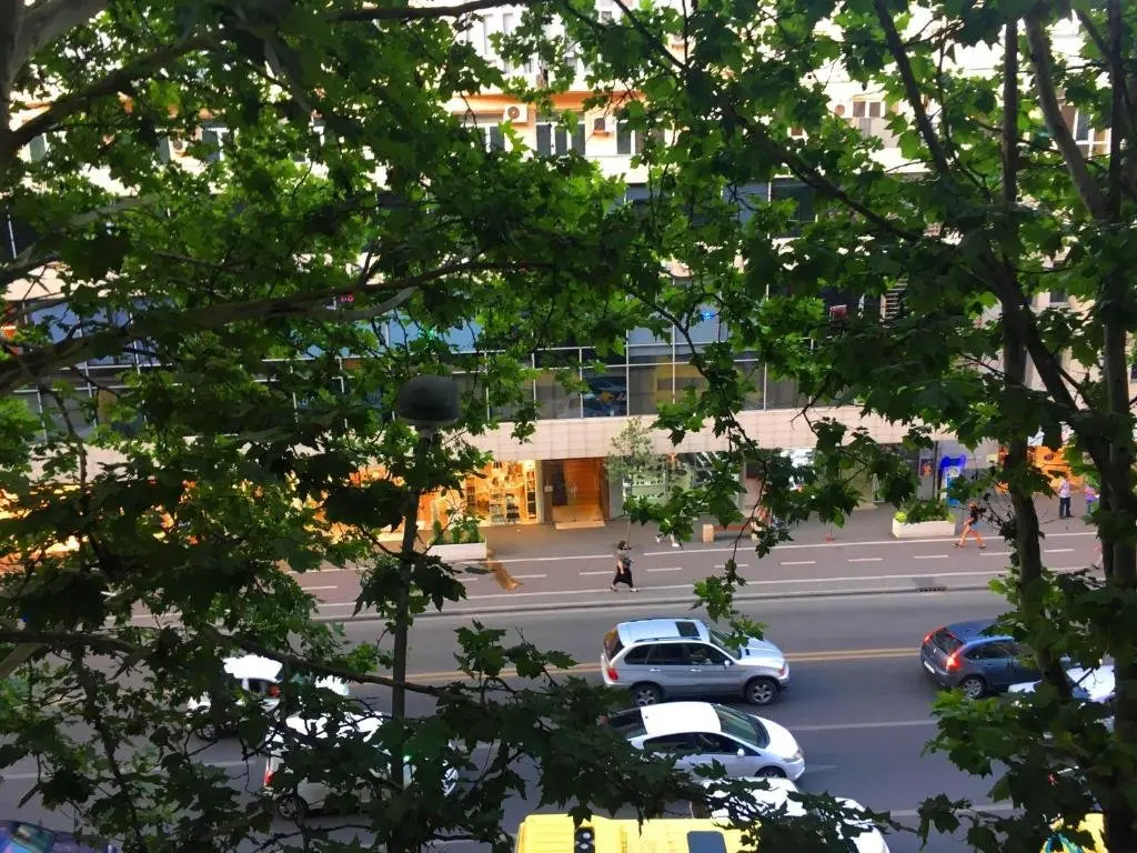 Тбилиси: Pekini Avenue Apartment